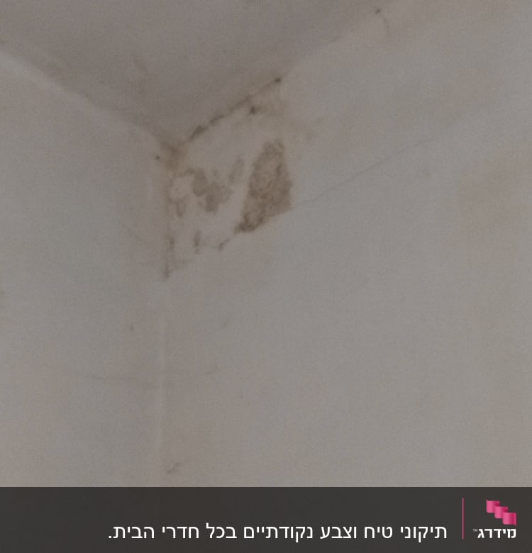 פינת קיר עם כתמי רטיבות ועובש
